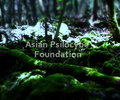 Asian Psilocybe Foundation image