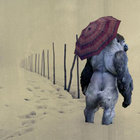 Nicholas DeBella thumbnail