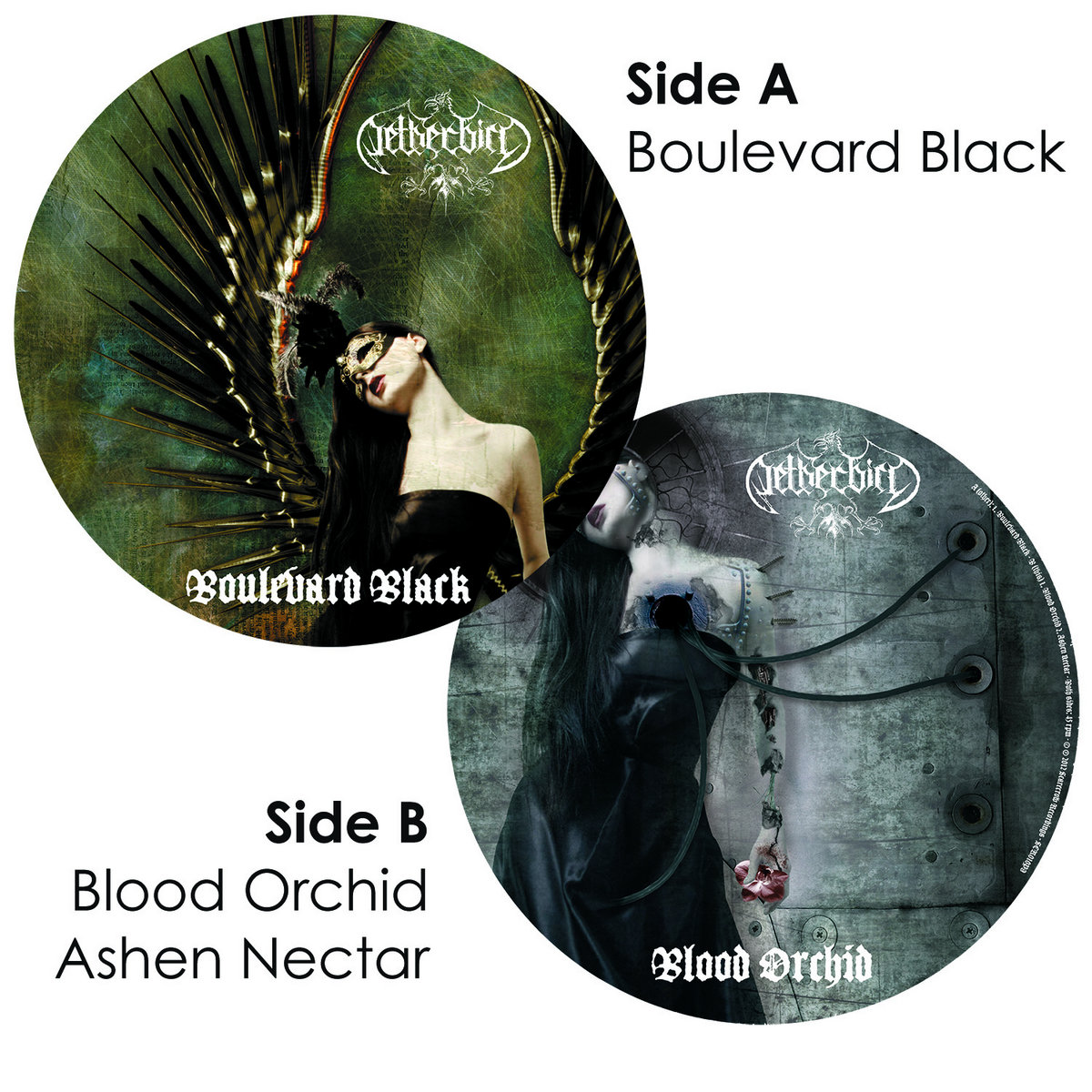 Netherworld ブラックメタル　blackl The Black Pearl - piececool Europe
