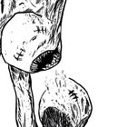 Polype thumbnail