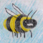 Elderfleur thumbnail
