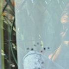 Carolina Mimoso thumbnail