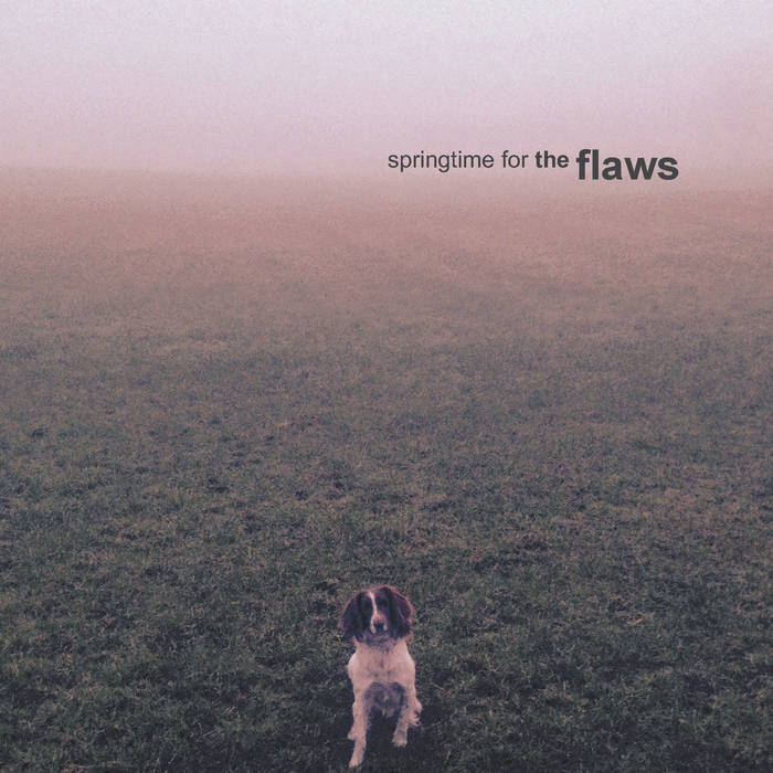 The Flaws cover