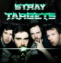 Stray Targets image