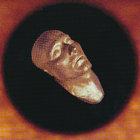 kryptobiotisk thumbnail