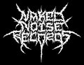 Naked Noise Records image
