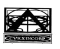 Cykxincorp Music Group image