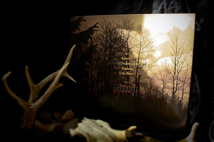 a gaze into the abyss | ANTLERS | vendetta records