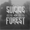 樹海 Jukai Suicide Forest image