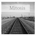 Mitosis image