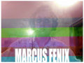 Marcus image