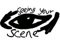Seeing Your Scene image