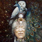 Baby Owl thumbnail