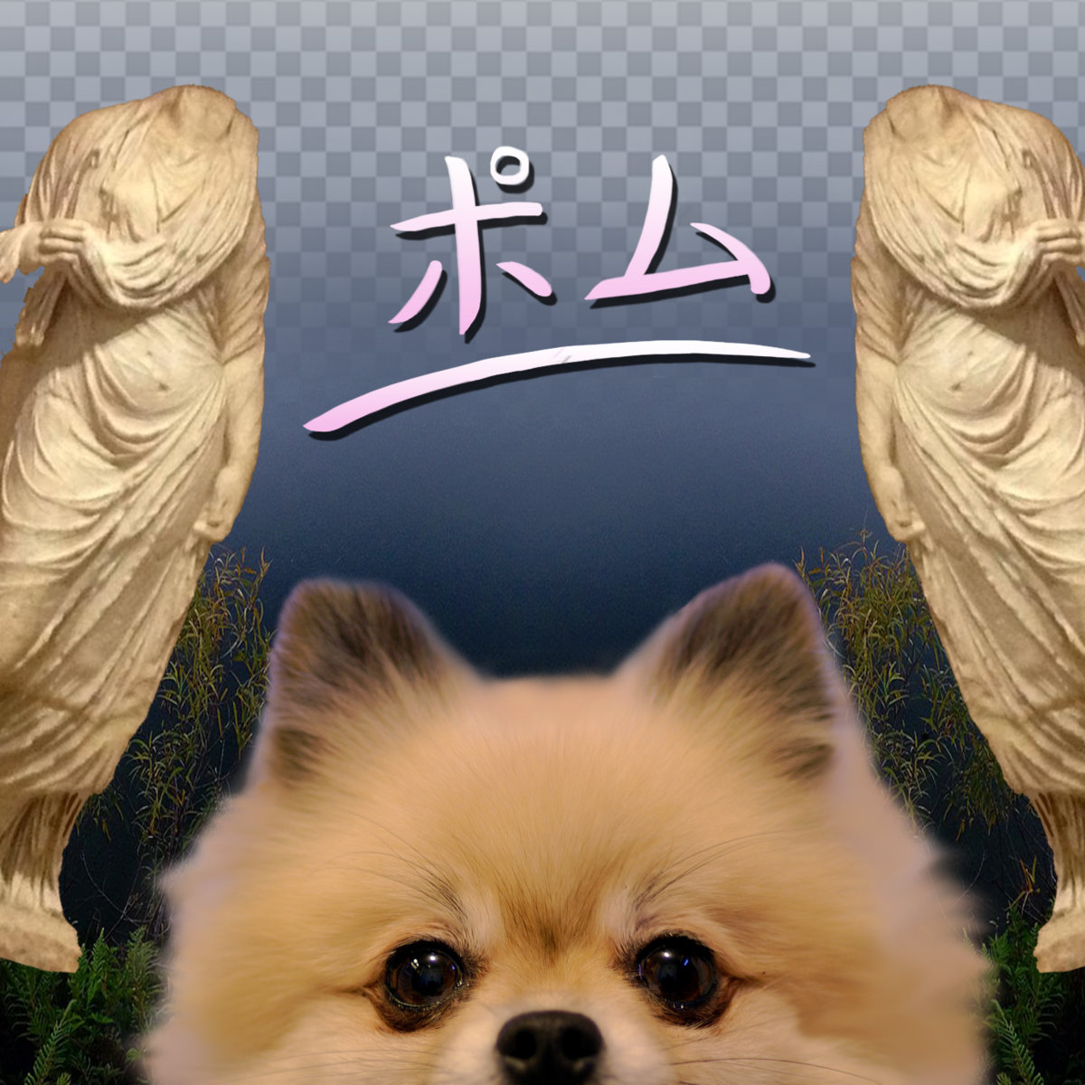 ぽむ 0005151063_10.jpg
