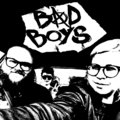 Bad Boys image