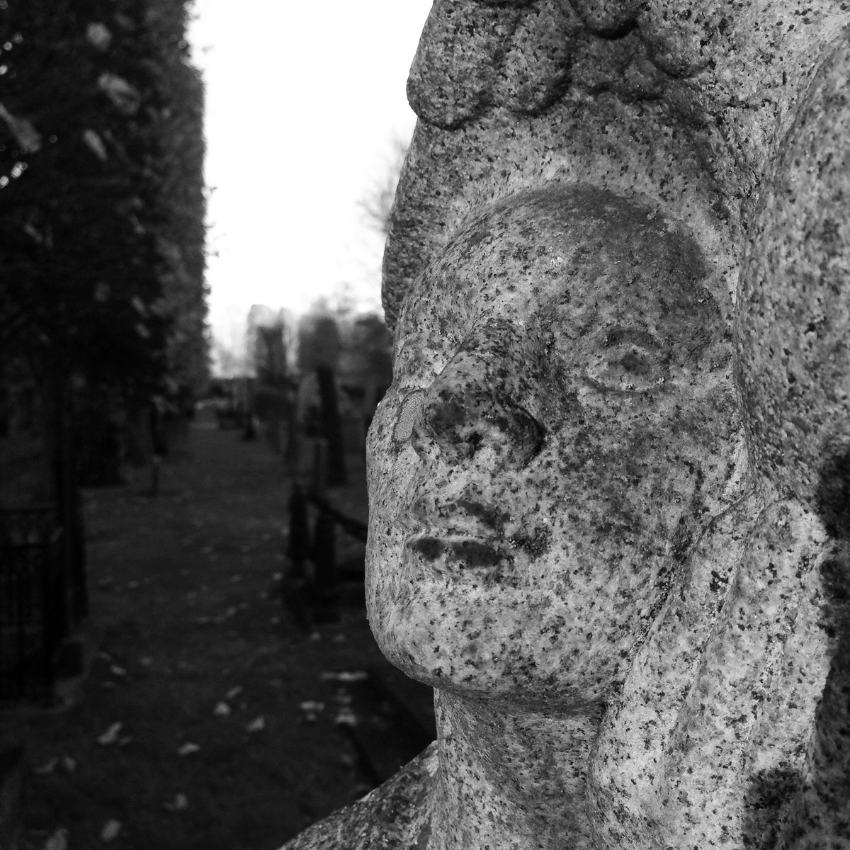 3/Rhubarb (by Aphex Twin) Mare Erythraeum