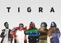 Tigra image