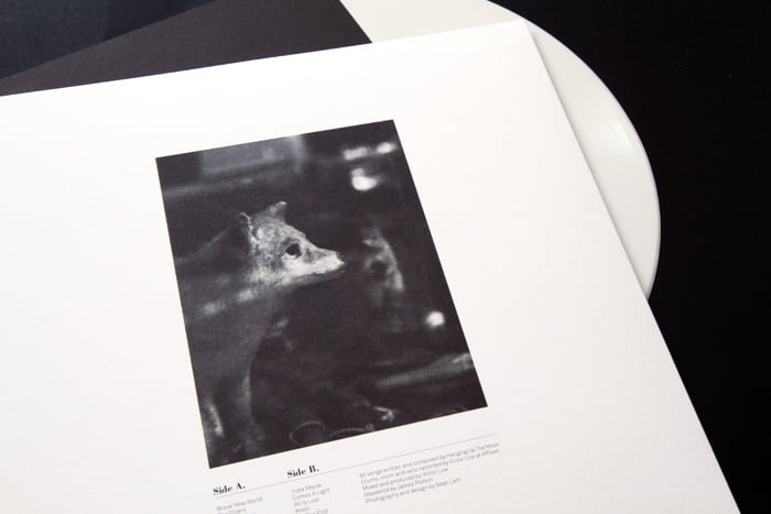 【中古】 Hanging Up The Moon / Immaterial Immaterial | hanging up the moon