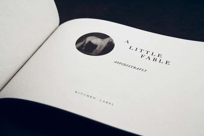 aspidistrafly A Little Fable レコード LP A LITTLE FABLE (Remastered LP Edition) | ASPIDISTRAFLY
