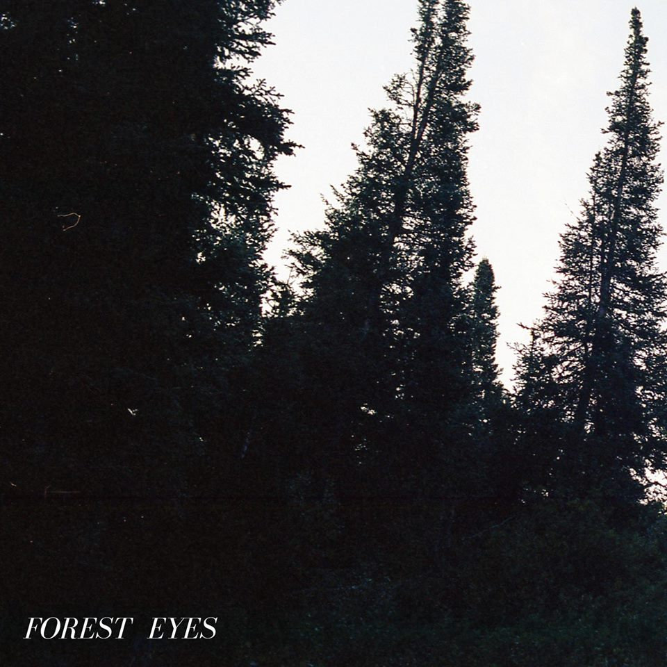 Глаза в лесу. Eyes in the forest. Лес мистика. Мистические глаза. Страшный лес с глазами.