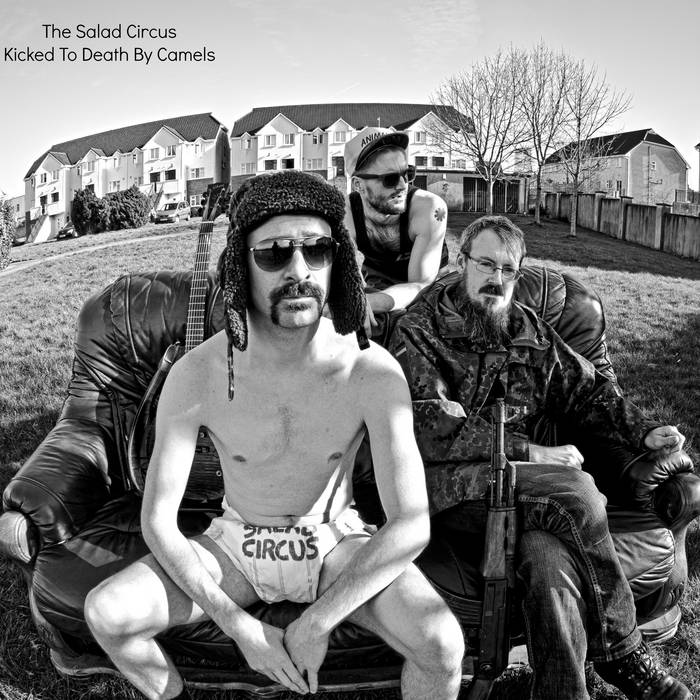 The Salad Circus cover