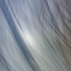 Michael Wildman thumbnail