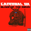 Cannibal Ox — Photo