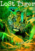 LoSt Tiger image