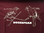 "Starlings & Cardinals" T-Shirt + "Past Perfect" CD and Digital Download photo 