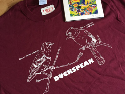 "Starlings & Cardinals" T-Shirt + "Past Perfect" CD and Digital Download main photo