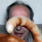 Graham Mole thumbnail