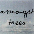 Amongst Trees image