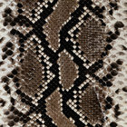 Nguyen Nguyen thumbnail