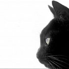 Spielplatz Schwanenwiese visual data 3