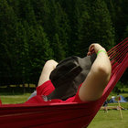 Ovidiu Simion thumbnail