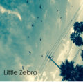 Little Zebra image