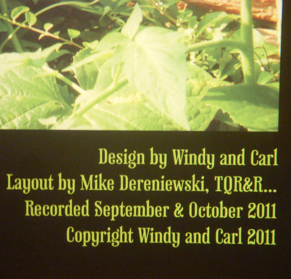 Windy Carl 4 Song Mini Album Windy Carl