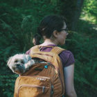 Roxy thumbnail