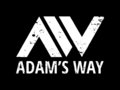 Adam's Way image