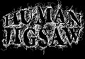 Human Jigsaw Records image