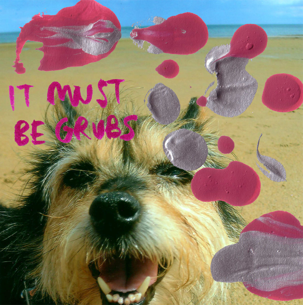 grubs image