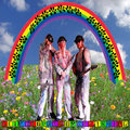 Happy Rainbow Warriors image