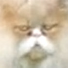 an0nymooose thumbnail