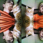 Zachary Plaxco thumbnail