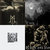 parapluie thumbnail