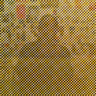 Nonlocal Variable thumbnail