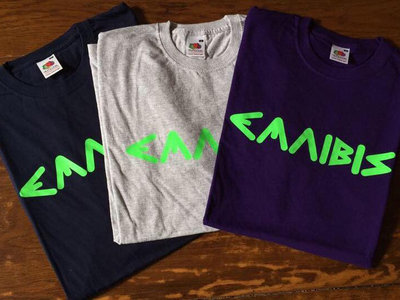 Emnibis Logo T-shirt - Grey *CLEAR OUT* main photo