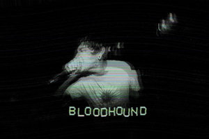 Bloodhound