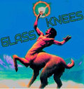 Glass Knees image