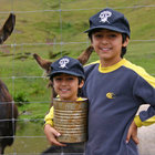 Cow Cablin thumbnail